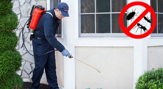 Gemlik Akrep İlaçlama böcek ilaçlama ve haşere kontrolü — ilaclama-tr.com